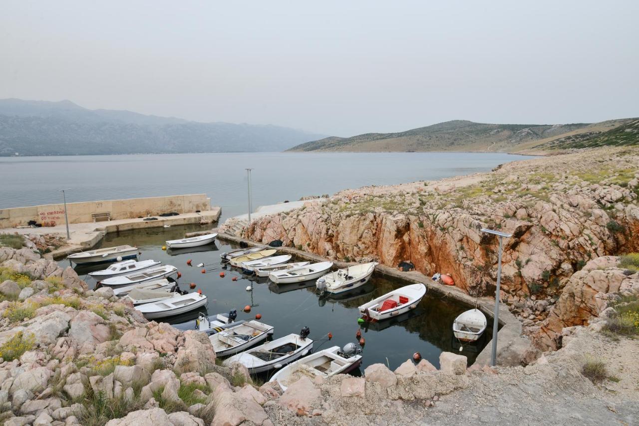 Apartman Olive 2 Zadar Exterior photo